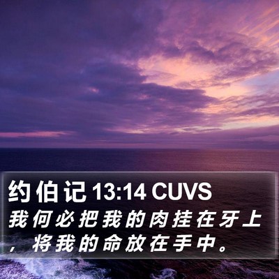 约 伯 记 13:14 CUVS Bible Verse Image