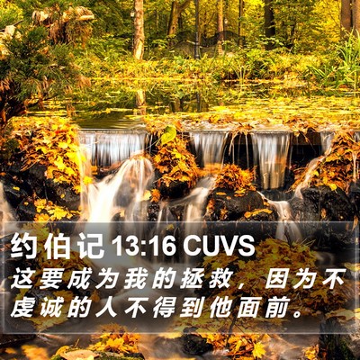 约 伯 记 13:16 CUVS Bible Verse Image