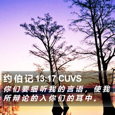 约 伯 记 13:17 CUVS Bible Verse Image
