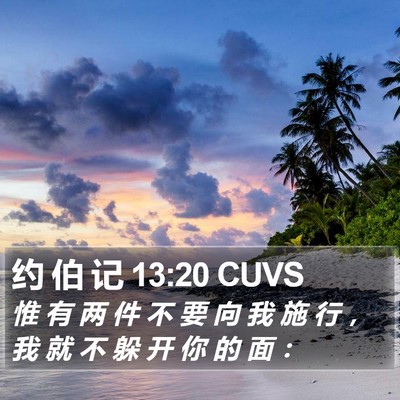 约 伯 记 13:20 CUVS Bible Verse Image