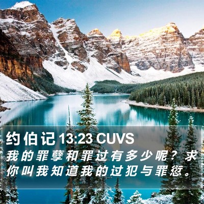 约 伯 记 13:23 CUVS Bible Verse Image
