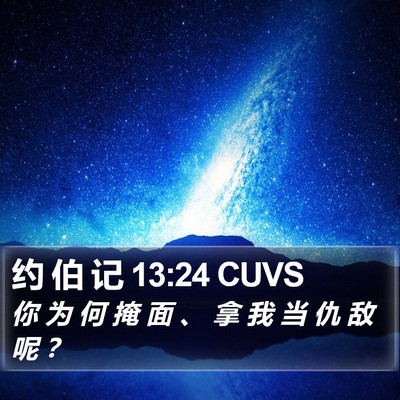 约 伯 记 13:24 CUVS Bible Verse Image