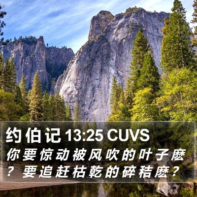 约 伯 记 13:25 CUVS Bible Verse Image