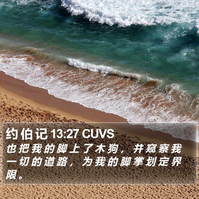 约 伯 记 13:27 CUVS Bible Verse Image