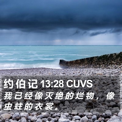 约 伯 记 13:28 CUVS Bible Verse Image
