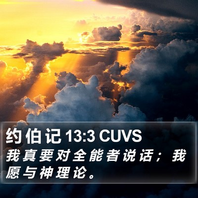 约 伯 记 13:3 CUVS Bible Verse Image