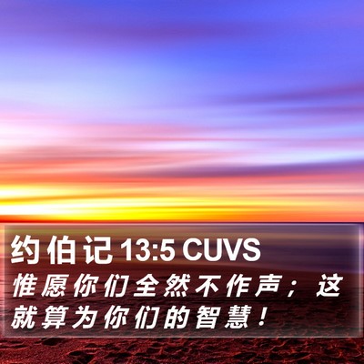 约 伯 记 13:5 CUVS Bible Verse Image