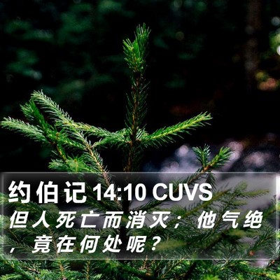 约 伯 记 14:10 CUVS Bible Verse Image