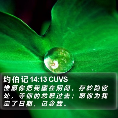 约 伯 记 14:13 CUVS Bible Verse Image