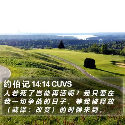 约 伯 记 14:14 CUVS Bible Verse Image