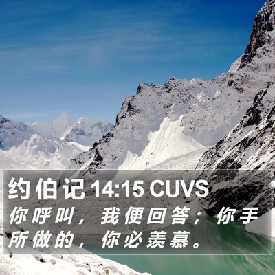 约 伯 记 14:15 CUVS Bible Verse Image