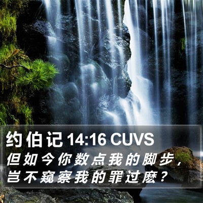 约 伯 记 14:16 CUVS Bible Verse Image