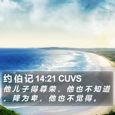 约 伯 记 14:21 CUVS Bible Verse Image