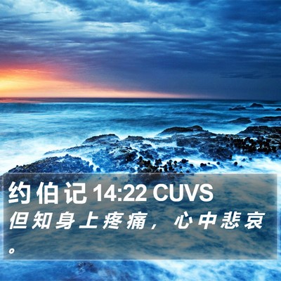 约 伯 记 14:22 CUVS Bible Verse Image