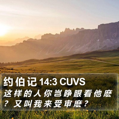 约 伯 记 14:3 CUVS Bible Verse Image