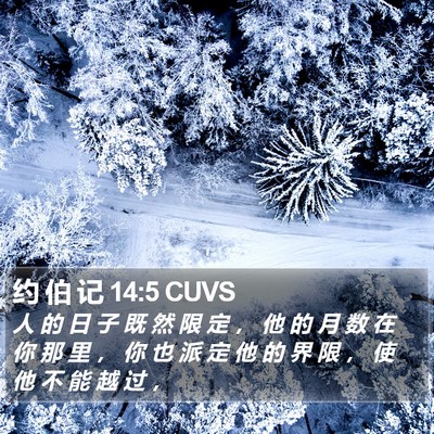 约 伯 记 14:5 CUVS Bible Verse Image