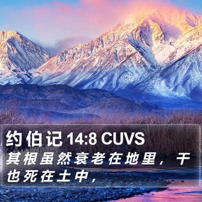约 伯 记 14:8 CUVS Bible Verse Image