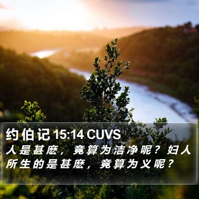 约 伯 记 15:14 CUVS Bible Verse Image