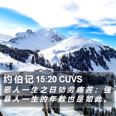 约 伯 记 15:20 CUVS Bible Verse Image
