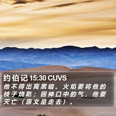 约 伯 记 15:30 CUVS Bible Verse Image