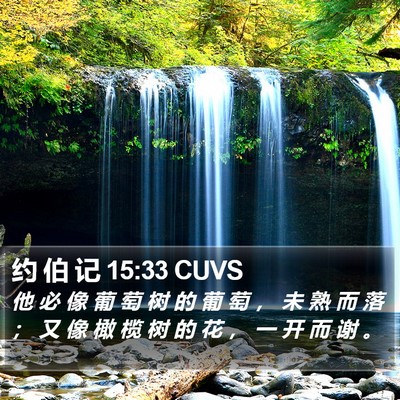 约 伯 记 15:33 CUVS Bible Verse Image