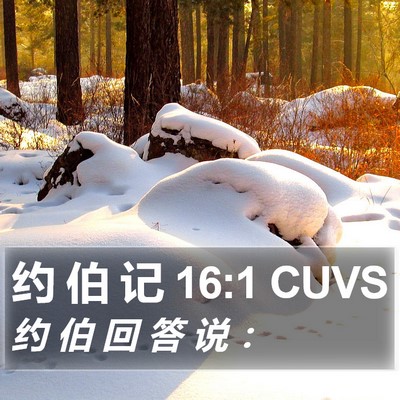 约 伯 记 16:1 CUVS Bible Verse Image