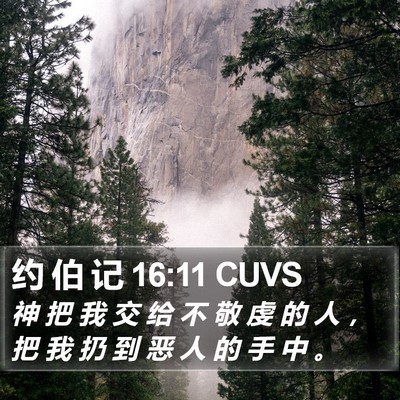约 伯 记 16:11 CUVS Bible Verse Image