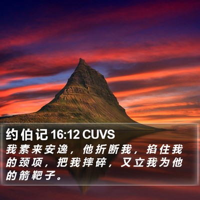 约 伯 记 16:12 CUVS Bible Verse Image