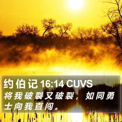 约 伯 记 16:14 CUVS Bible Verse Image