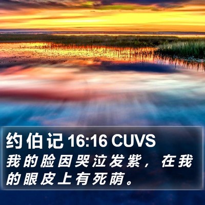 约 伯 记 16:16 CUVS Bible Verse Image