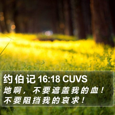 约 伯 记 16:18 CUVS Bible Verse Image