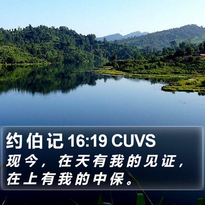 约 伯 记 16:19 CUVS Bible Verse Image