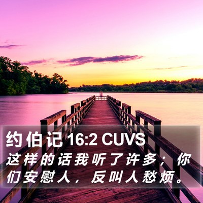 约 伯 记 16:2 CUVS Bible Verse Image