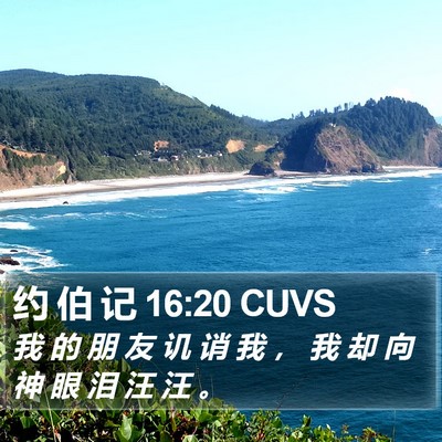 约 伯 记 16:20 CUVS Bible Verse Image