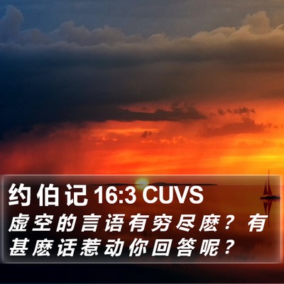 约 伯 记 16:3 CUVS Bible Verse Image