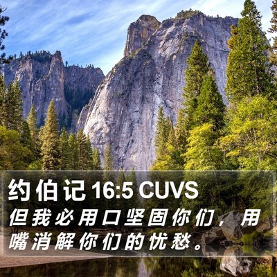约 伯 记 16:5 CUVS Bible Verse Image