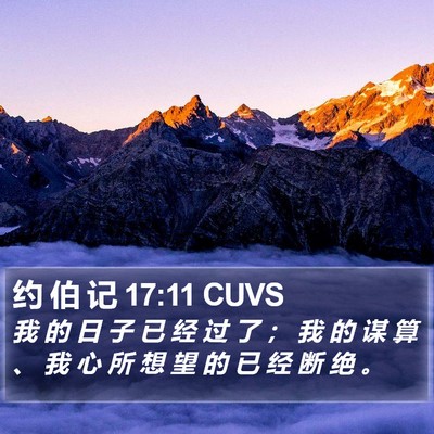约 伯 记 17:11 CUVS Bible Verse Image