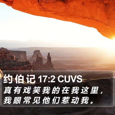 约 伯 记 17:2 CUVS Bible Verse Image