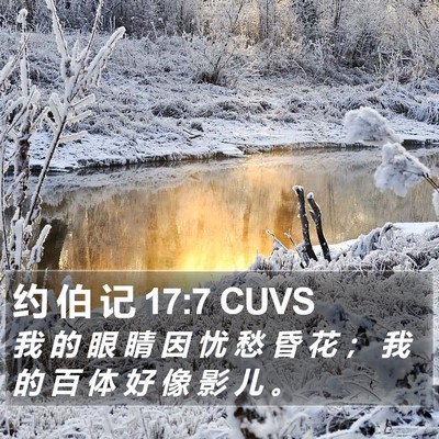 约 伯 记 17:7 CUVS Bible Verse Image