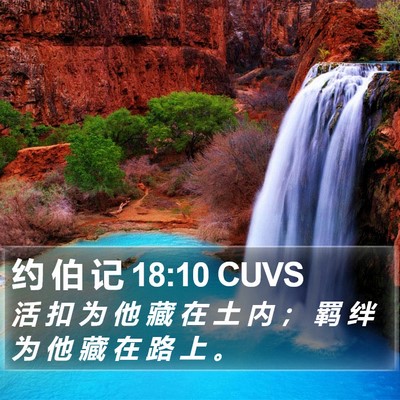 约 伯 记 18:10 CUVS Bible Verse Image
