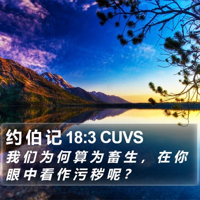 约 伯 记 18:3 CUVS Bible Verse Image