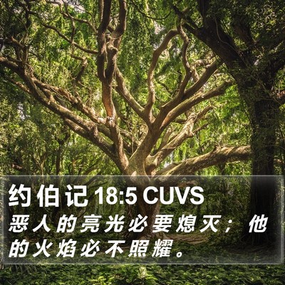约 伯 记 18:5 CUVS Bible Verse Image