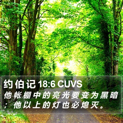 约 伯 记 18:6 CUVS Bible Verse Image
