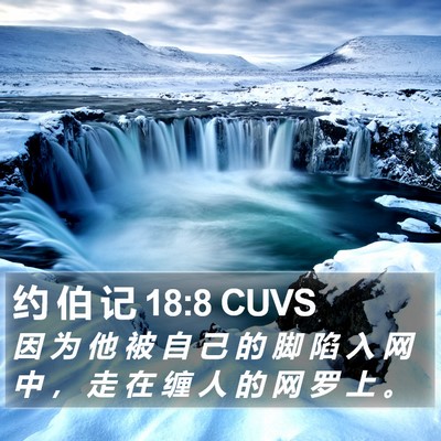 约 伯 记 18:8 CUVS Bible Verse Image