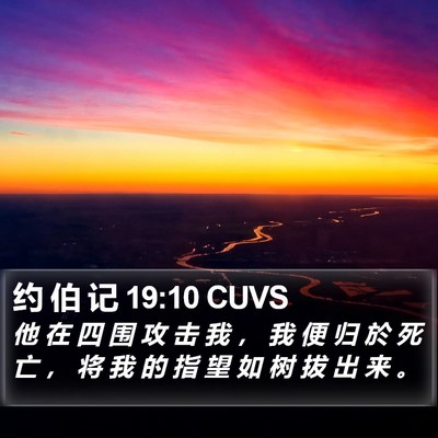约 伯 记 19:10 CUVS Bible Verse Image