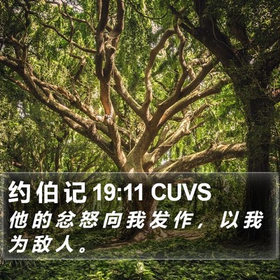 约 伯 记 19:11 CUVS Bible Verse Image