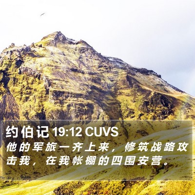 约 伯 记 19:12 CUVS Bible Verse Image