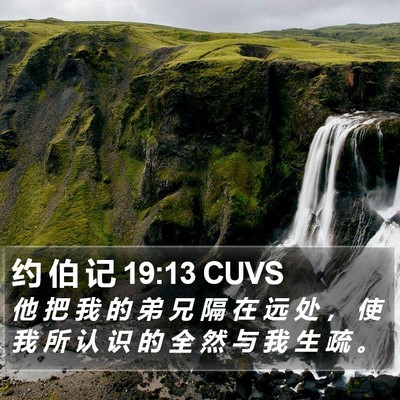 约 伯 记 19:13 CUVS Bible Verse Image