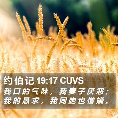 约 伯 记 19:17 CUVS Bible Verse Image