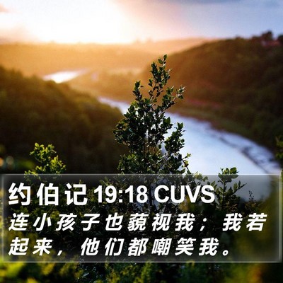 约 伯 记 19:18 CUVS Bible Verse Image